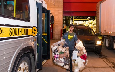 World Record Teddy Bear Toss